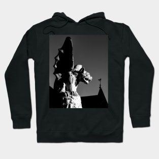 Keeping watch Hoodie